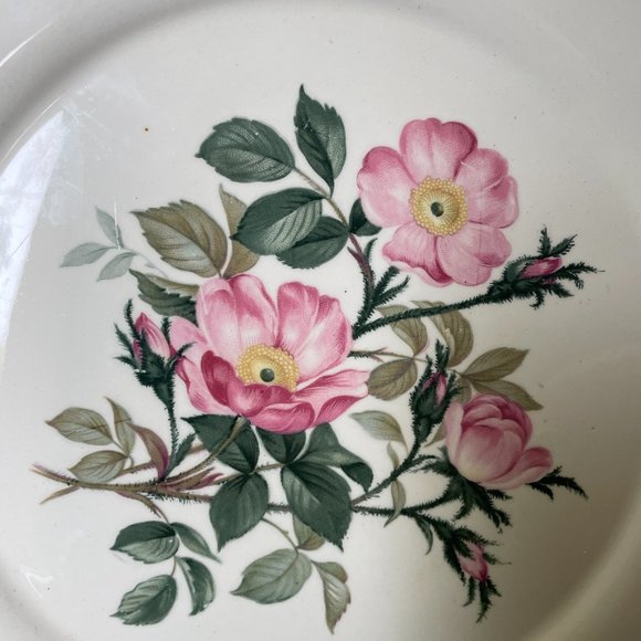 Vintage Harker Pottery Co Wild Rose plate platter 22k gold circa 1950s - Picture 8 of 9